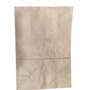 Kraft Paper Bag Wo/H 19*10*26 Cm